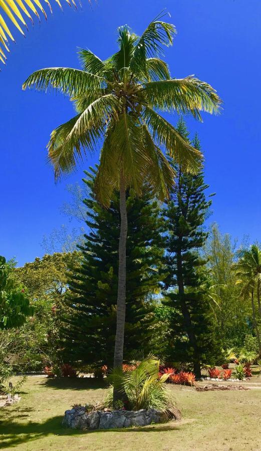 North Palmetto Point Poponi House Home المظهر الخارجي الصورة